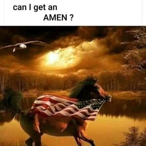 Meet your Posher, Vickie